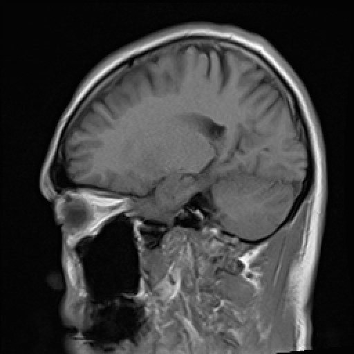 Click on the Serie image to view the images of VILLANUEVA, WILLIAM A.